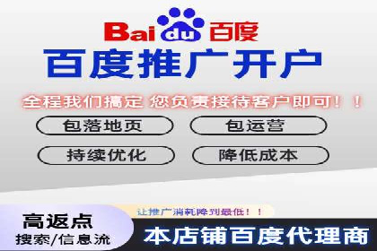 百度推广平台在旅游行业的应用案例